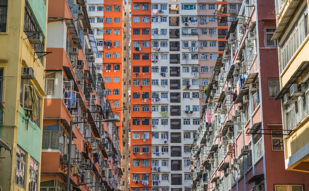 L'impact du diagnostic mérule sur les politiques de développement immobilier