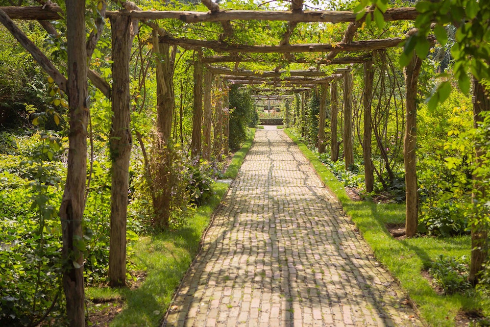 Achat d'une pergola : l'importance de choisir le bon matériau pour votre climat