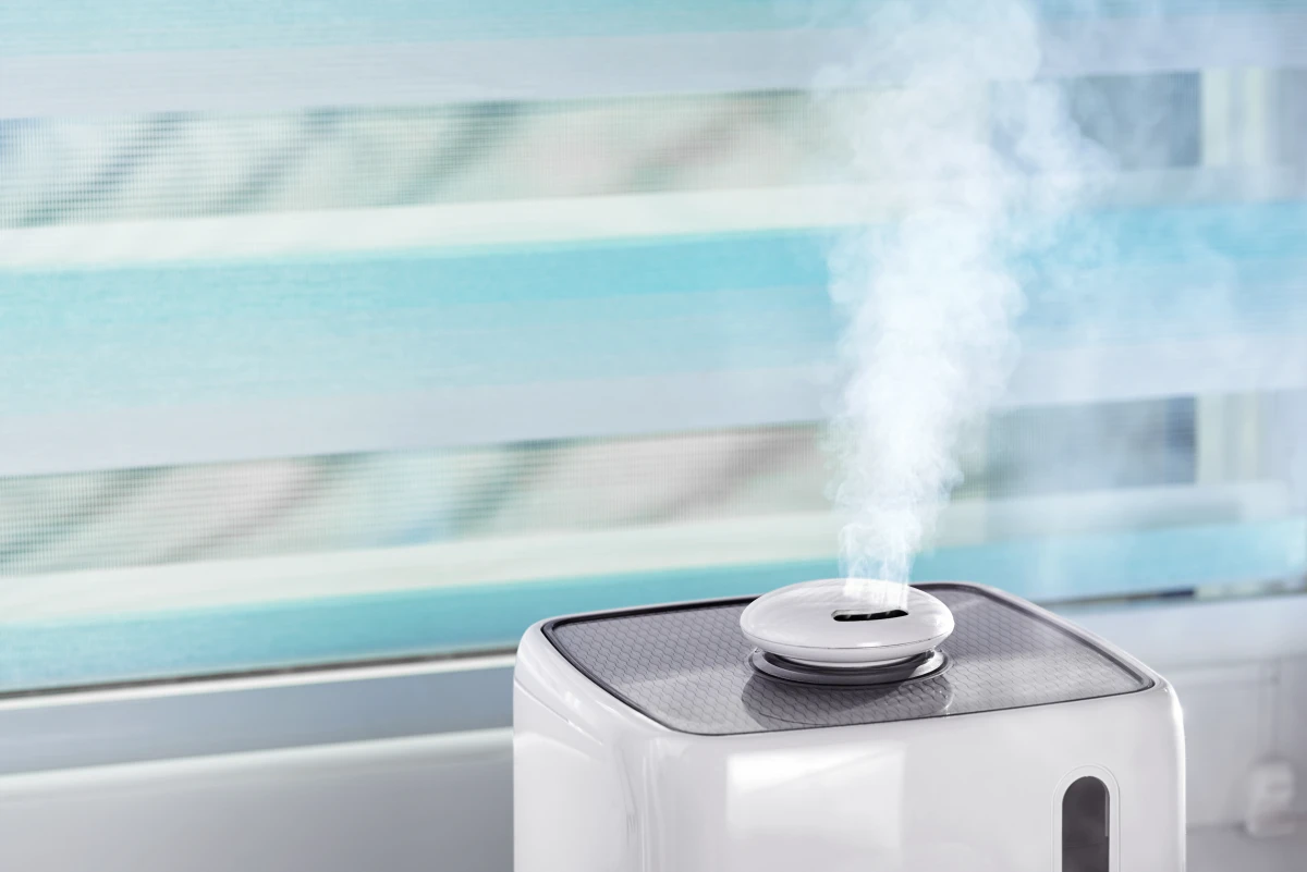 Humidité dans le logement : causes, conséquences et traitements